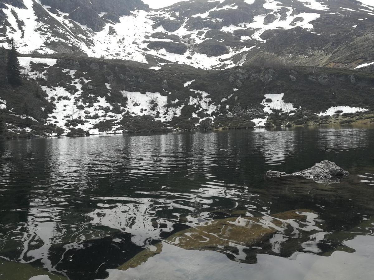 Terres De Barrejat Villa Cazals-des-Bayles Exteriör bild