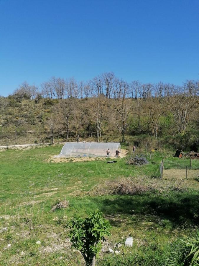 Terres De Barrejat Villa Cazals-des-Bayles Exteriör bild