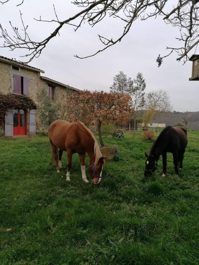 Terres De Barrejat Villa Cazals-des-Bayles Exteriör bild