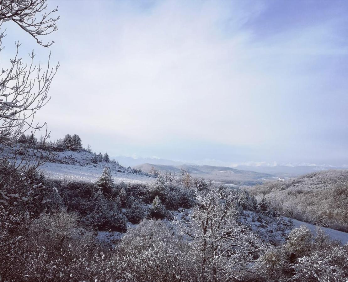 Terres De Barrejat Villa Cazals-des-Bayles Exteriör bild