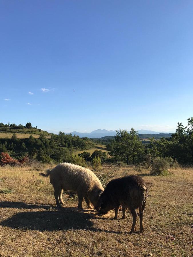 Terres De Barrejat Villa Cazals-des-Bayles Exteriör bild