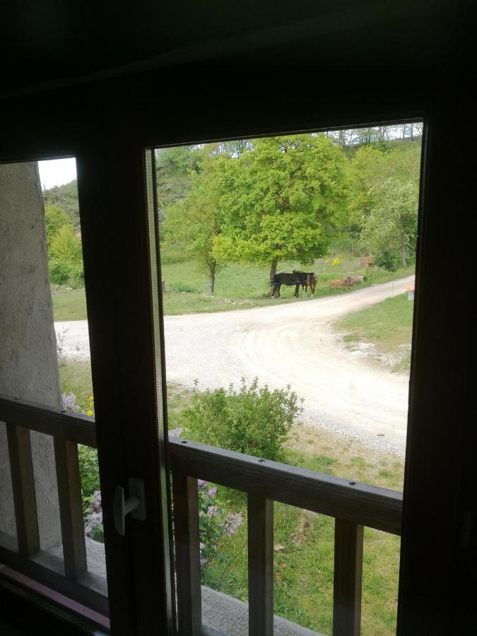 Terres De Barrejat Villa Cazals-des-Bayles Exteriör bild